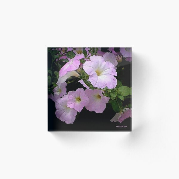 Happy Talk Acrylic Block