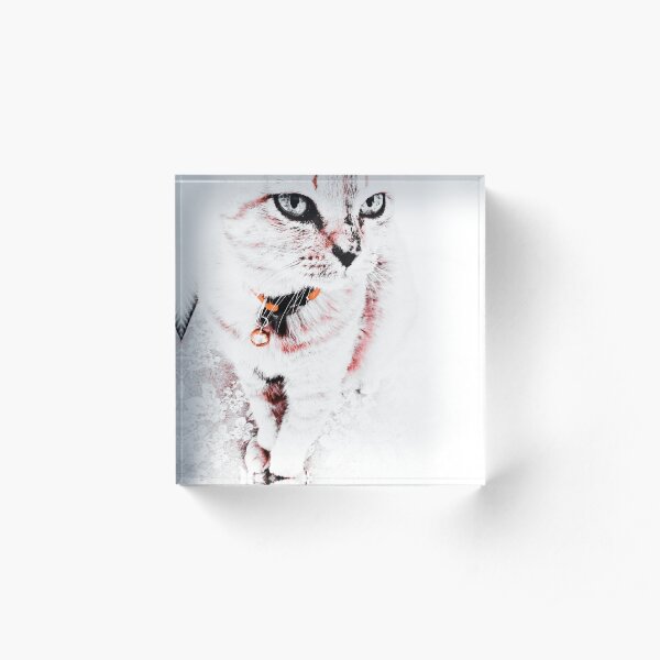 Mrs Gato Acrylic Block