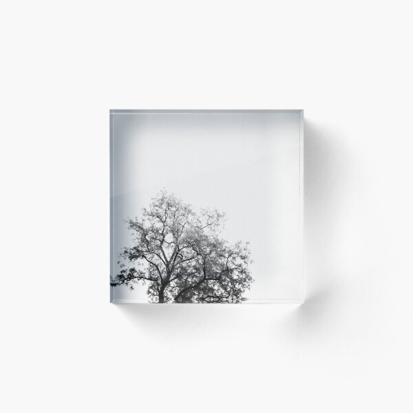 Ashes Acrylic Block