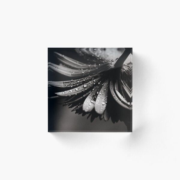Gerbera Acrylic Block