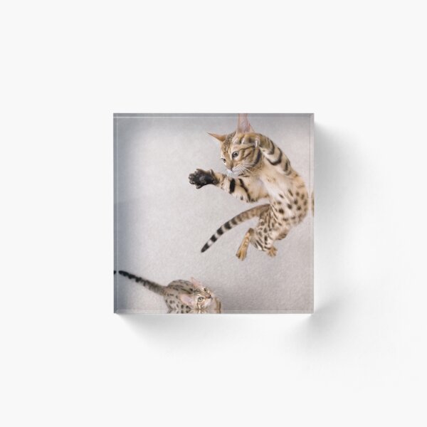 I bet you can't do this... Acrylic Block