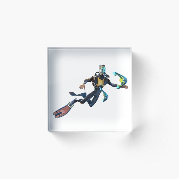 Diver Acrylic Block