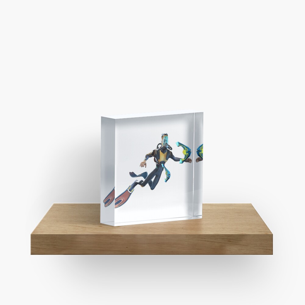 Diver Acrylic Block