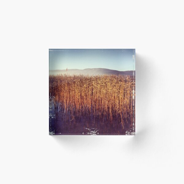 Reeds Acrylic Block