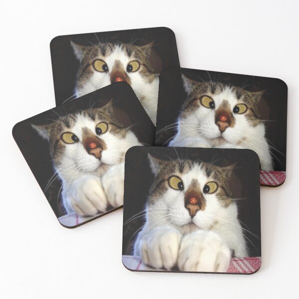 Item preview, Funny Crossed Eyed Cat And Ladybird designed and sold by MurphyMorganGifts.