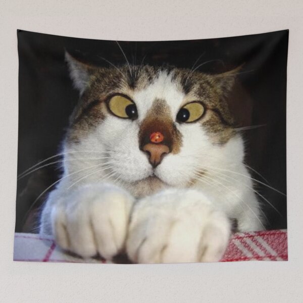 Item preview, Funny Crossed Eyed Cat And Ladybird designed and sold by MurphyMorganGifts.