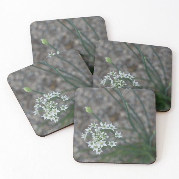 Item preview, Calming Grays and White Stars designed and sold by Georgia Mizuleva.