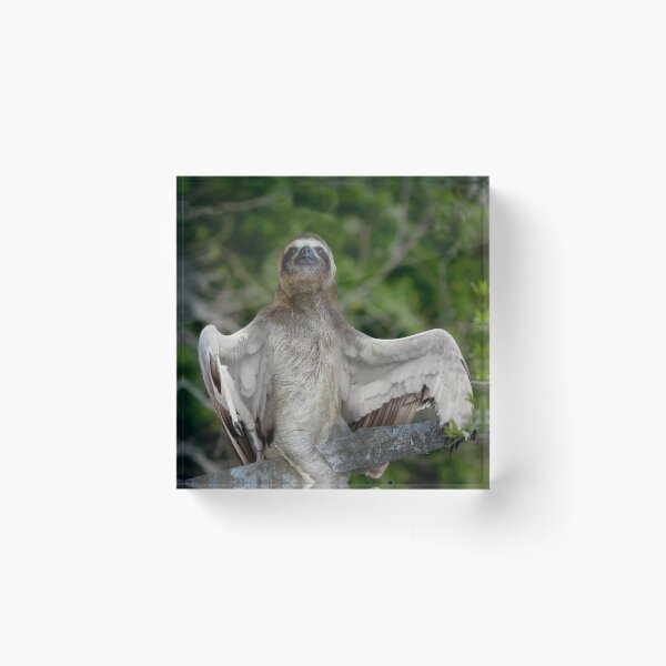 Item preview, The winged sloth designed and sold by Felfriast.