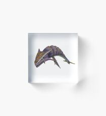 Bloque acrílico Boneshark