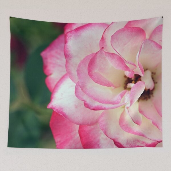 Item preview, Floribunda Rose designed and sold by StampCity.