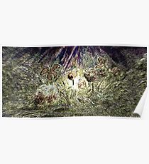 Butterfly Garden Poster