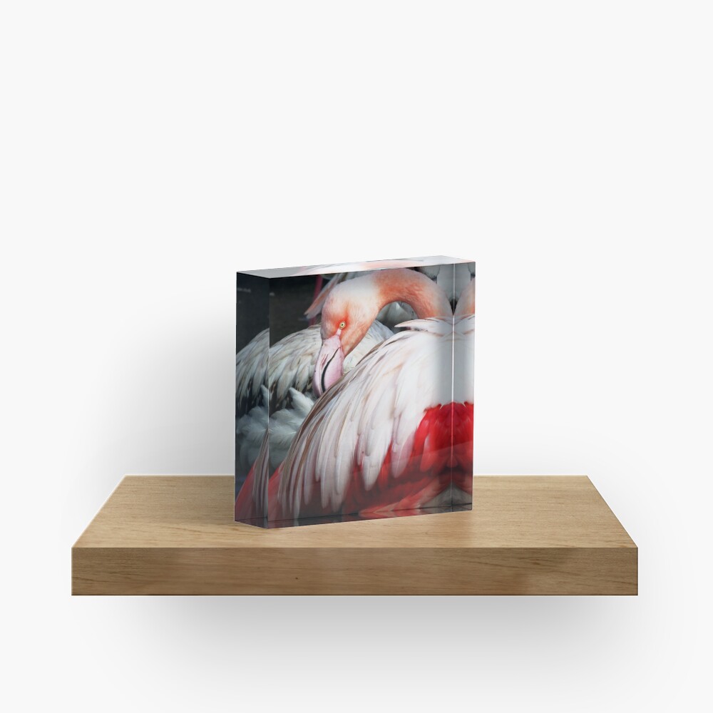 Item preview, Acrylic Block designed and sold by Coigach.