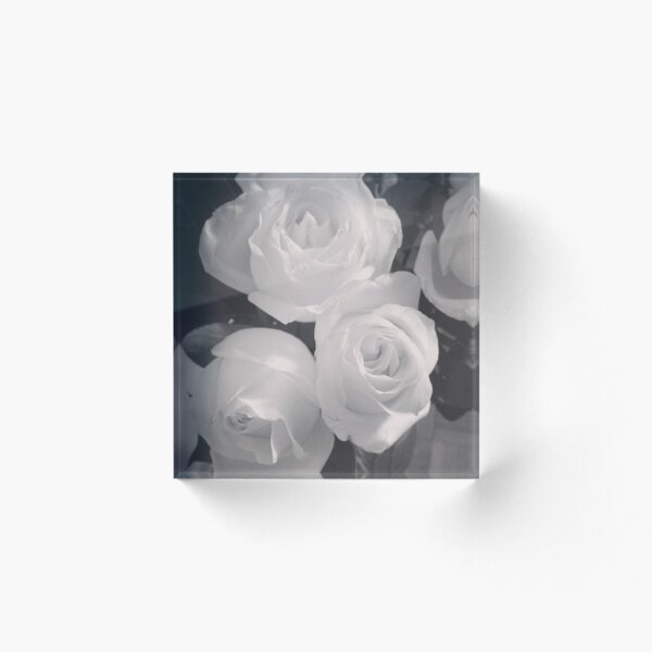 Item preview, Black and White Roses designed and sold by AngieRocksArt.