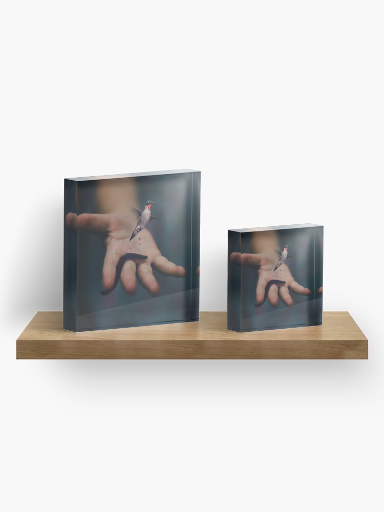 Alternate view of The Early Bird Acrylic Block