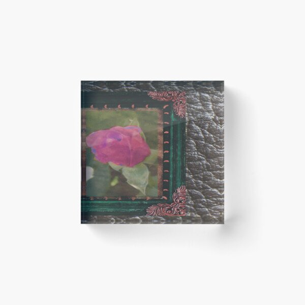 Item preview, cool only2 designed and sold by win charles.