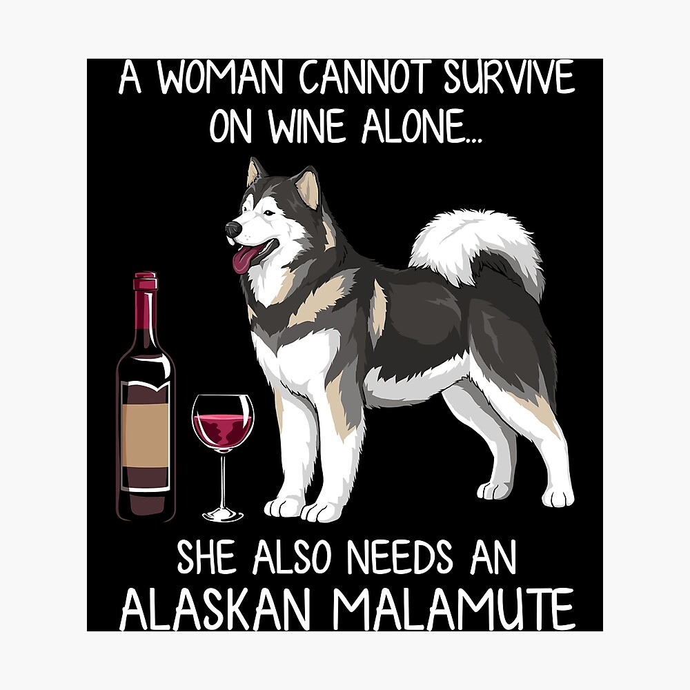 Alaskan Malamute and wine Funny dog