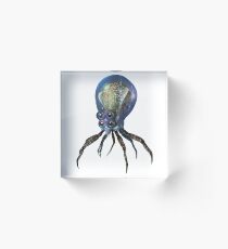 Crabsquid Acrylic Block