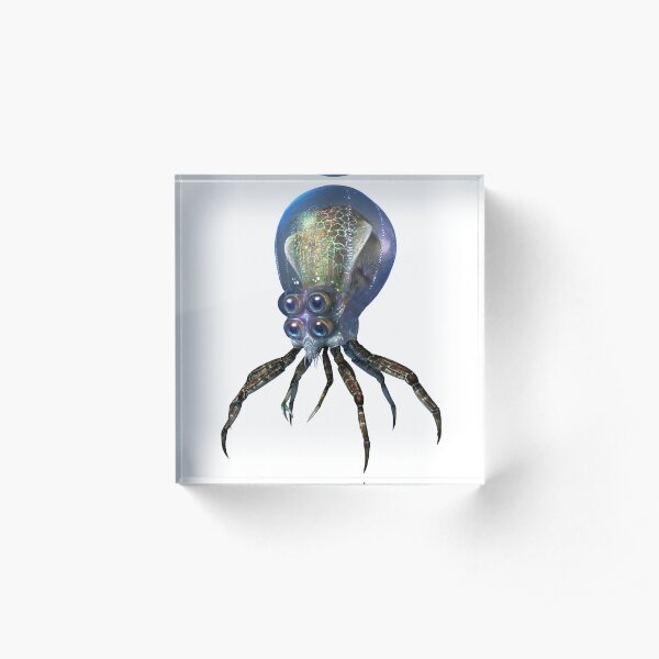 Crabsquid Acrylic Block