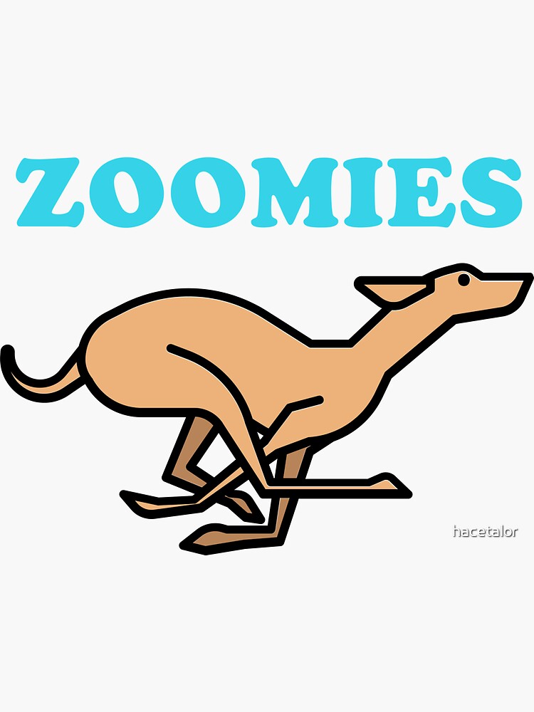 "Zoomies" Sticker by hacetalor Redbubble
