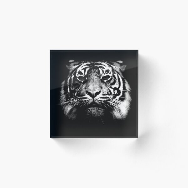 Illustrated Tiger Acrylic Block