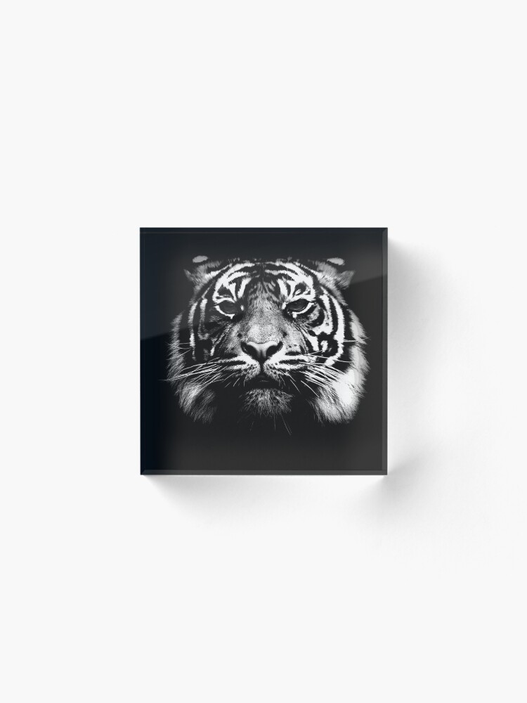 Alternate view of Illustrated Tiger Acrylic Block