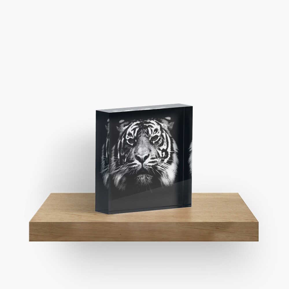 Illustrated Tiger Acrylic Block