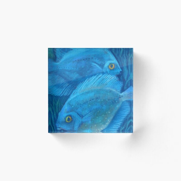 Blue Discus Fish, Underwater Animals Pastel Acrylic Block