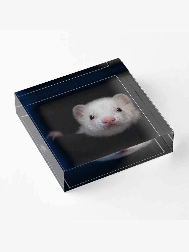 Alternate view of -005- Acrylic Block