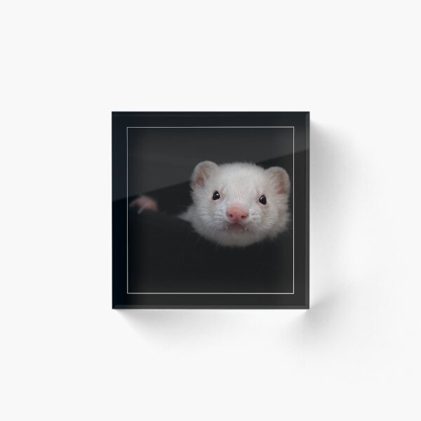 -005- Acrylic Block