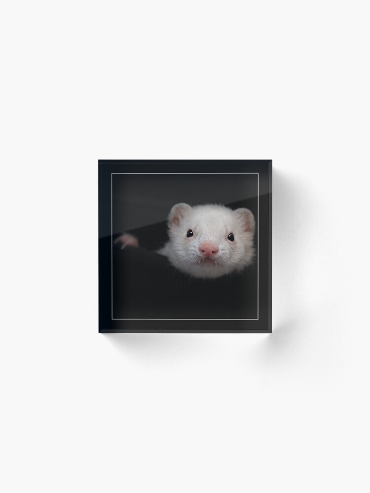 Alternate view of -005- Acrylic Block