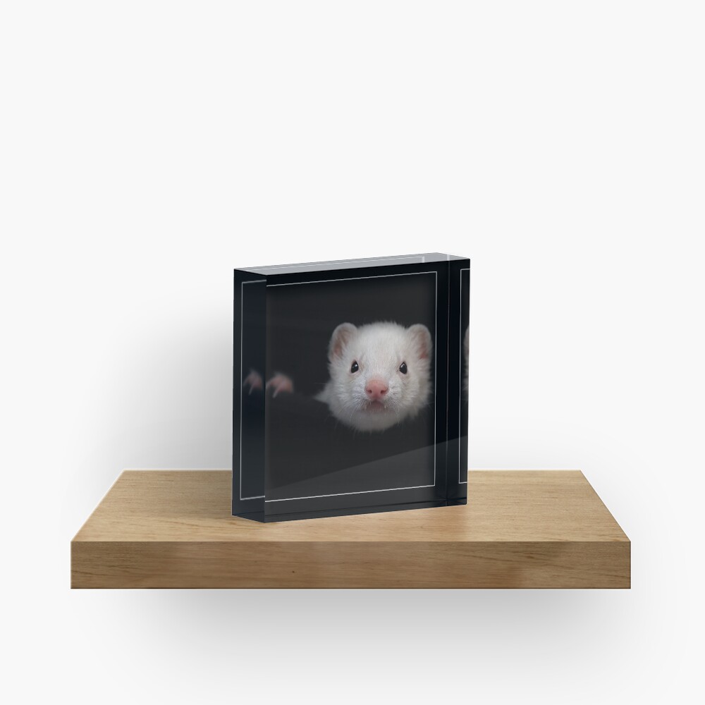 -005- Acrylic Block