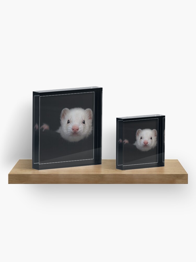 Alternate view of -005- Acrylic Block