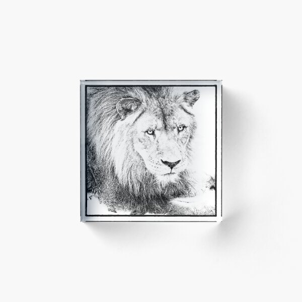 The King Acrylic Block