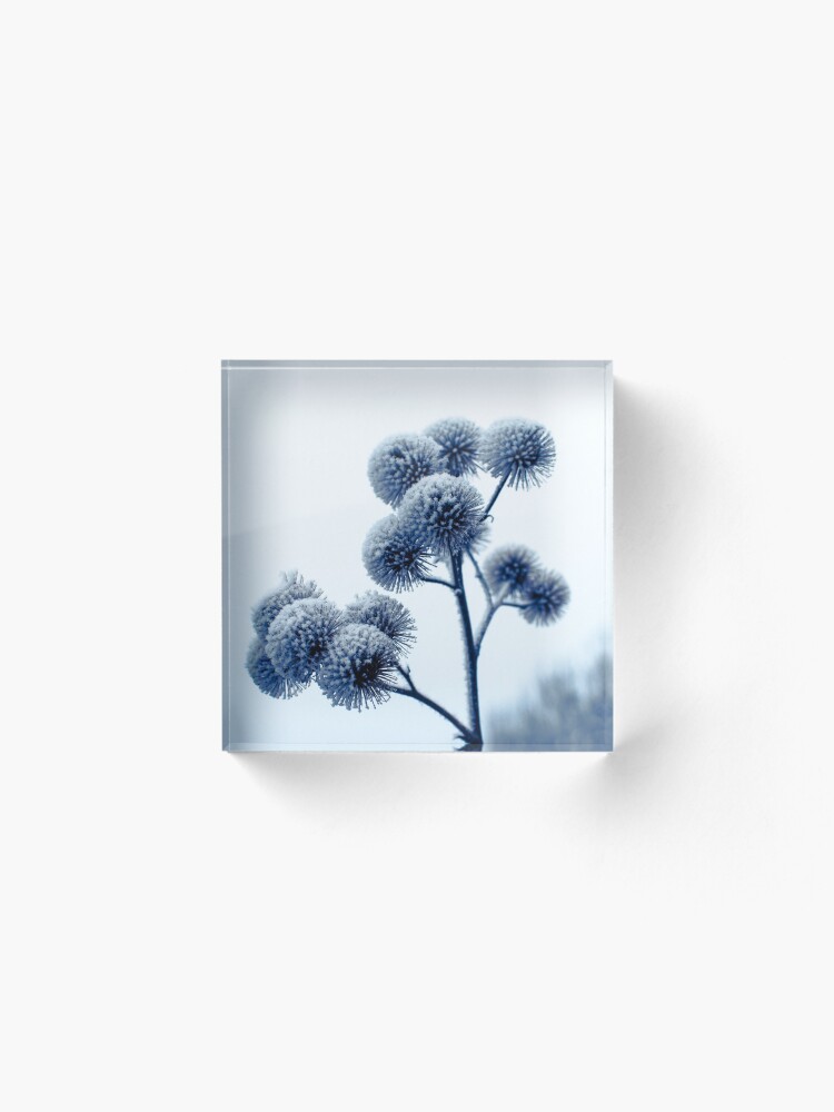 Alternate view of Winter scene Acrylic Block