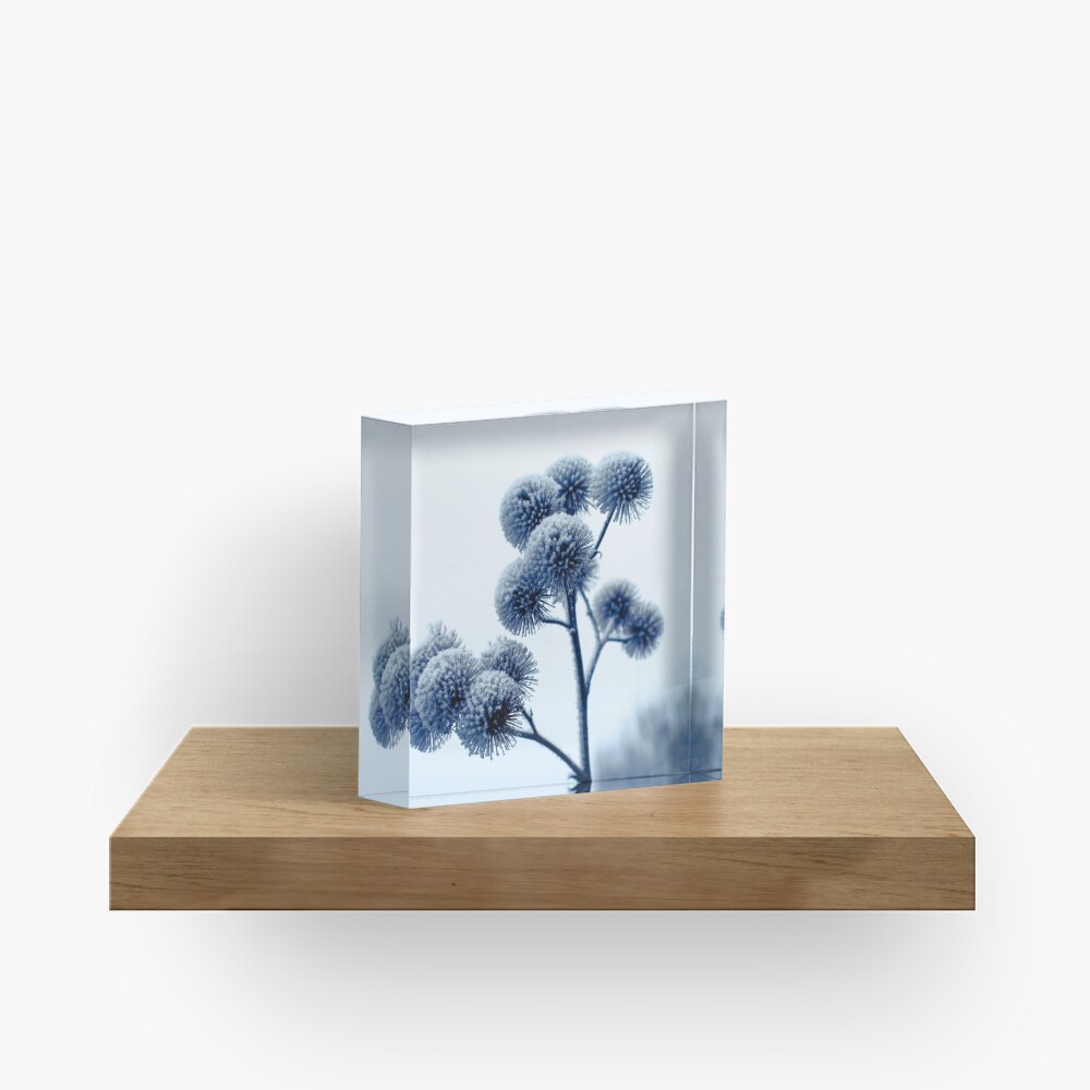 Winter scene Acrylic Block