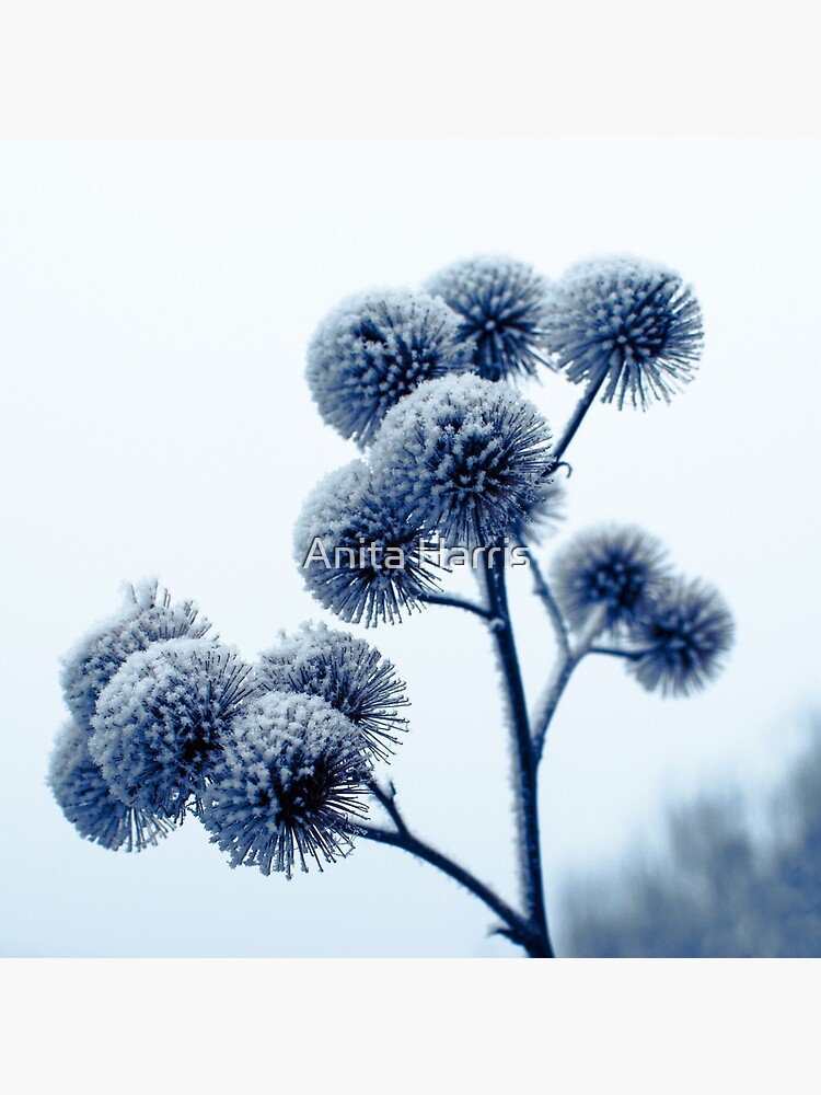 Winter scene by plasticflower