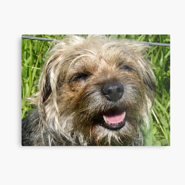 SO HAPPY Metal Print