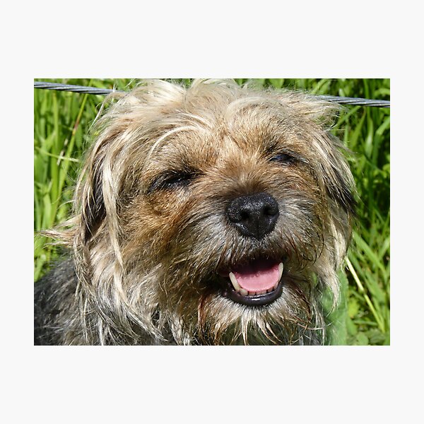 SO HAPPY Photographic Print