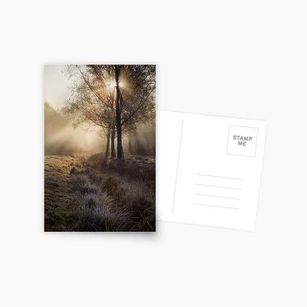 Misty Morning Postcard