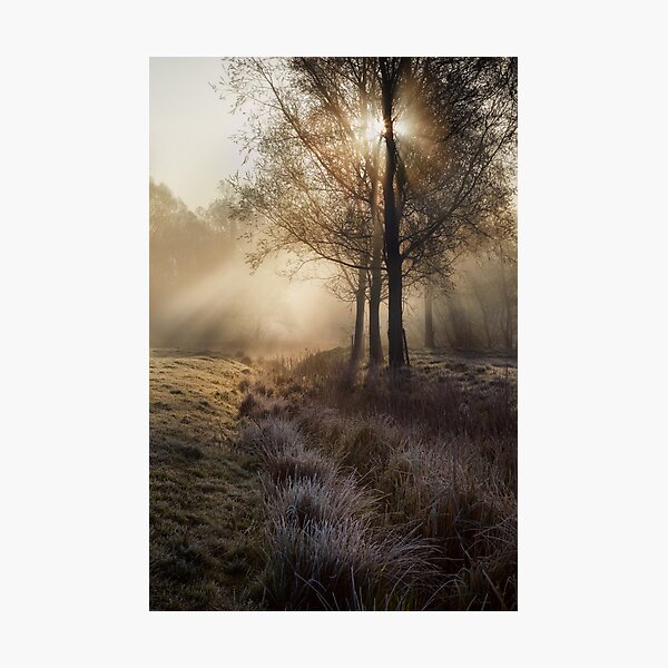 Misty Morning Photographic Print