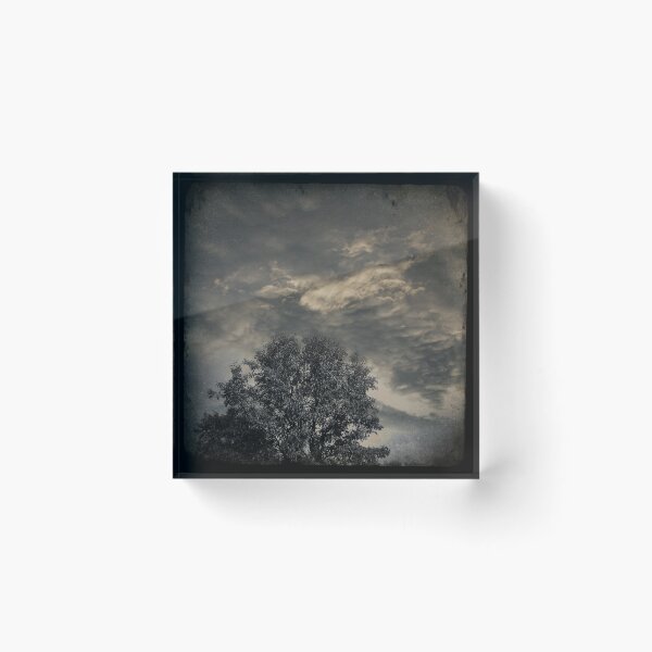 Item preview, Tree & Storm Clouds designed and sold by Robert Baker.
