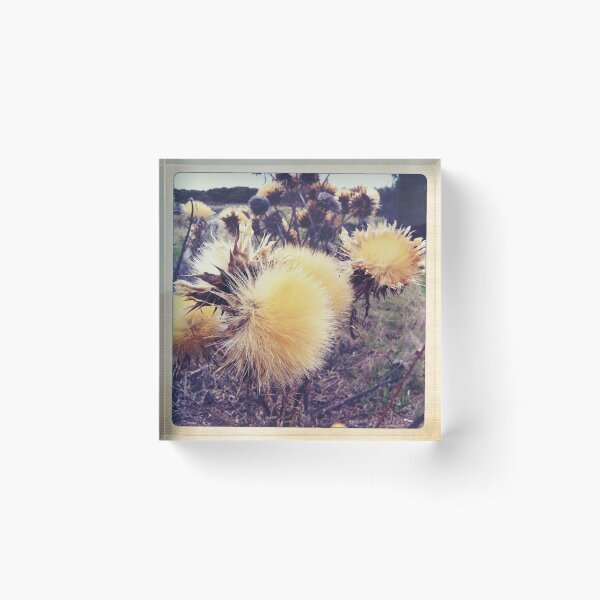 Item preview, Thistles designed and sold by Jenny Clift.