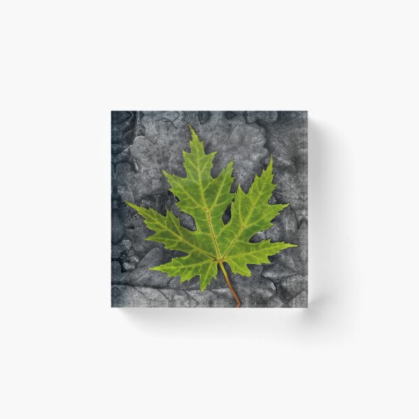 Item preview, Green Leaf designed and sold by AJ Airey.