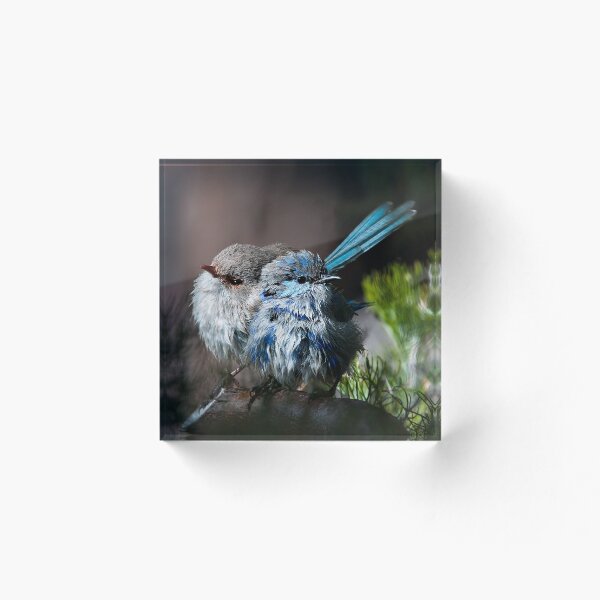 Item preview, Happy Couple designed and sold by Tony Luha.