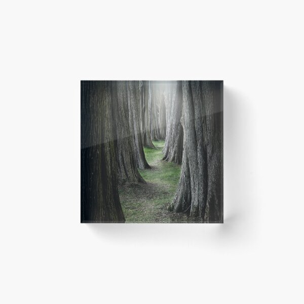 The Pathway Acrylic Block