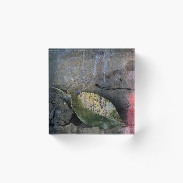 Artikelvorschau, Leaf Portrait #16 entworfen und verkauft von Jane Underwood.