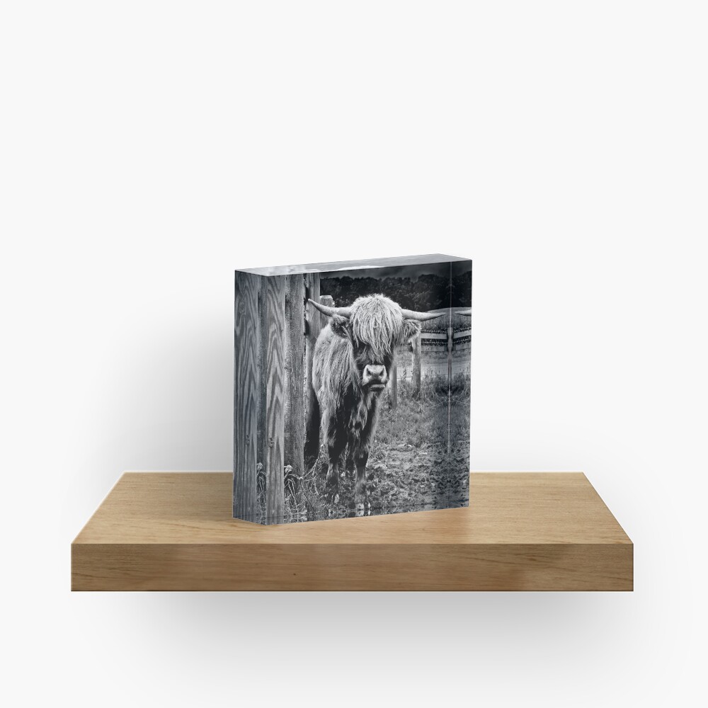 Item preview, Acrylic Block designed and sold by Coigach.
