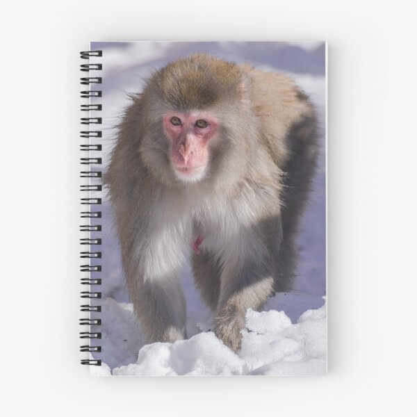Item preview, Japanese macaque designed and sold by Martin Leber.