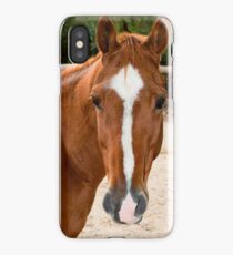 0221 Horse iPhone Case