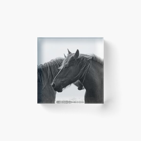 Item preview, Chevaux de trait bretons designed and sold by Jean-Luc Rollier.